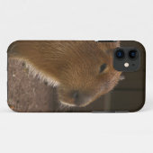 Capybara Case-Mate iPhone Hülle (Rückseite (Horizontal))