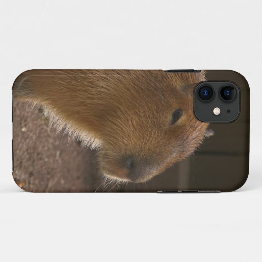 Capybara Case-Mate iPhone Hülle (Rückseite (Horizontal))