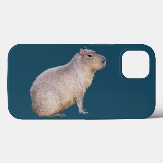 Capybara Case-Mate iPhone Hülle (Rückseite (Horizontal))