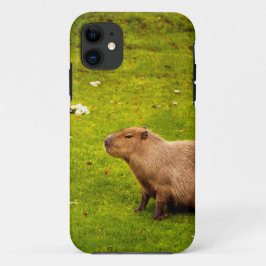 Capybara iPhone 11 Hülle