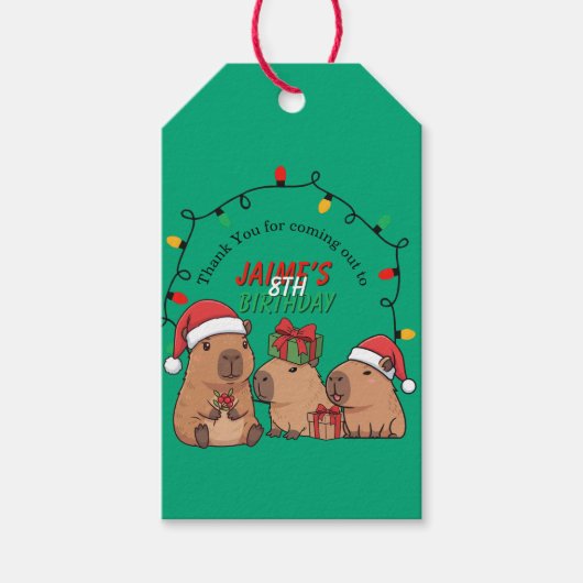 Capybara Christmas Lights Birthday Party Geschenkanhänger (Vorderseite)