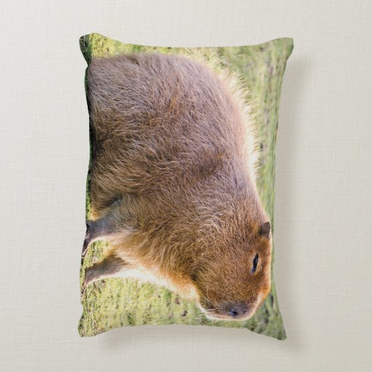 Capybara Cushion Dekokissen (Rückseite(Vertikal))