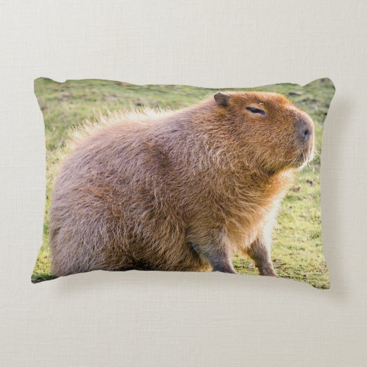 Capybara Cushion Dekokissen (Rückseite)