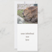 Capybara Einladung (Vorderseite)