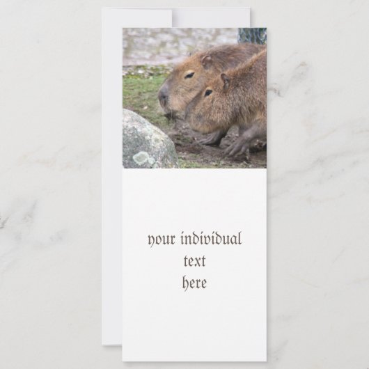 Capybara Einladung (Vorderseite)