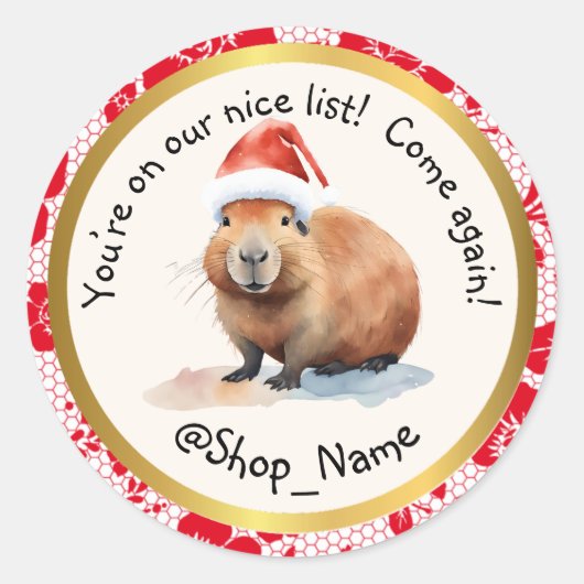 CAPYBARA: Elevate Your Packaging Game! 🚀 Runder Aufkleber (Vorderseite)