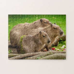 Capybara-Familien-Foto-Puzzlespiel Puzzle