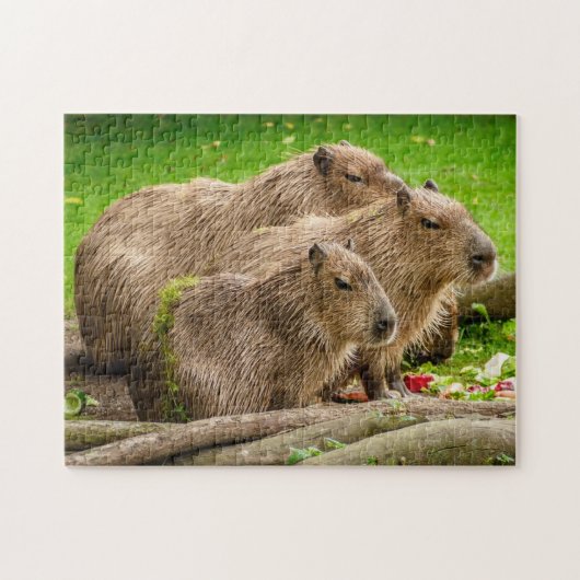 Capybara-Familien-Foto-Puzzlespiel Puzzle (Horizontal)