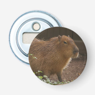 Capybara Flaschenöffner