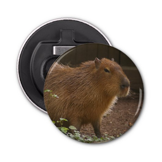 Capybara Flaschenöffner (Vorderseite)