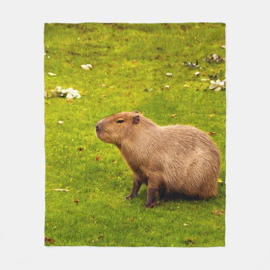 Capybara Fleecedecke (Vorderseite)