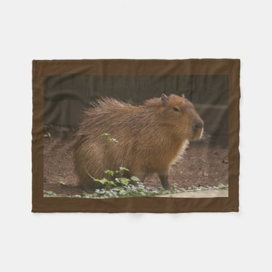 Capybara Fleecedecke (Vorderseite (Horizontal))