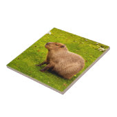 Capybara Fliese (Seite)