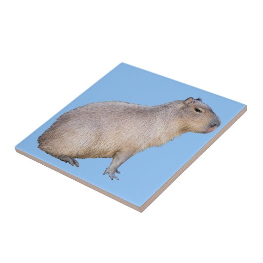 Capybara Fliese (Seite)