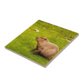 Capybara Fliese (Seite)