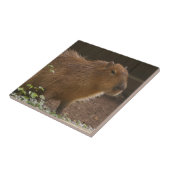 Capybara Fliese (Seite)