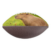Capybara Football (Gedreht 270)
