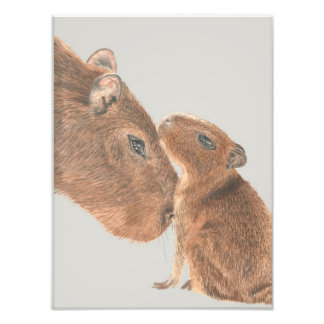 Capybara Fotodruck