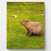 Capybara Fotoplatte (Vorderseite)