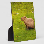 Capybara Fotoplatte (Seite)