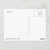 Capybara fressend Gras Postkarte (Rückseite)