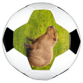 Capybara Fußball (Gedreht)