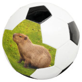 Capybara Fußball (Dreiviertel)