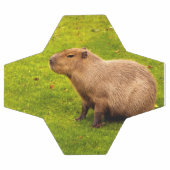 Capybara Fußball (Flach)