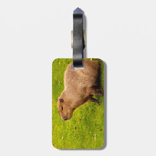 Capybara Gepäckanhänger (Rückseite vertikal)