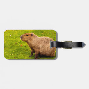 Capybara Gepäckanhänger