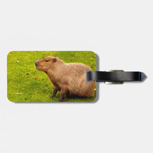 Capybara Gepäckanhänger (Rückseite horizontal)