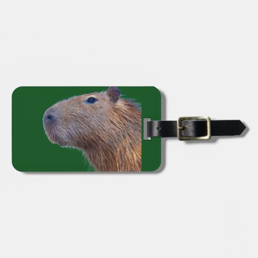 Capybara Gepäckanhänger (Vorderseite horizontal)