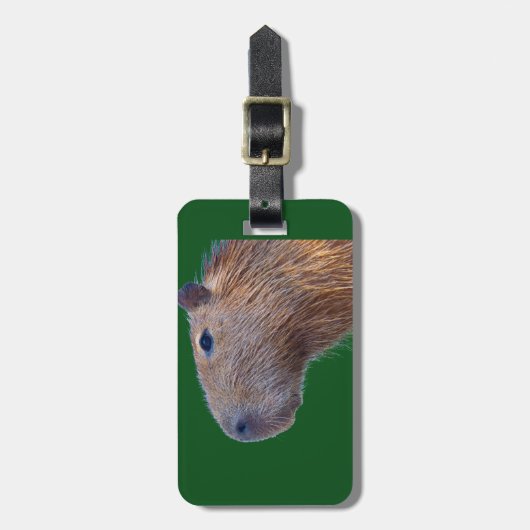 Capybara Gepäckanhänger (Vorderseite vertikal)