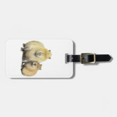 Capybara Gepäckanhänger (Vorderseite horizontal)