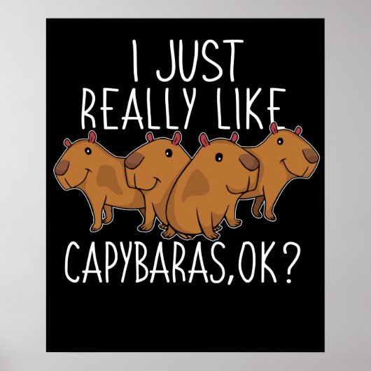 Capybara Geschenk Kinder Frauen Niedlich Capybara Poster (Vorne)