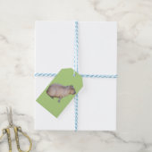 Capybara Geschenkanhänger (Mit Garn)
