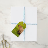 Capybara Geschenkanhänger (Mit Garn)