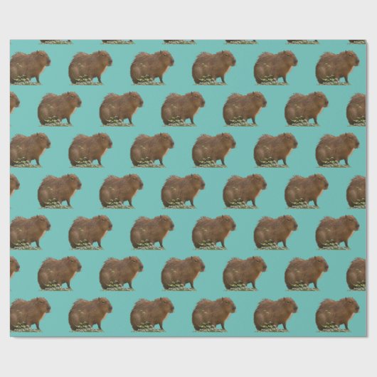Capybara Geschenkpapier (Flach)