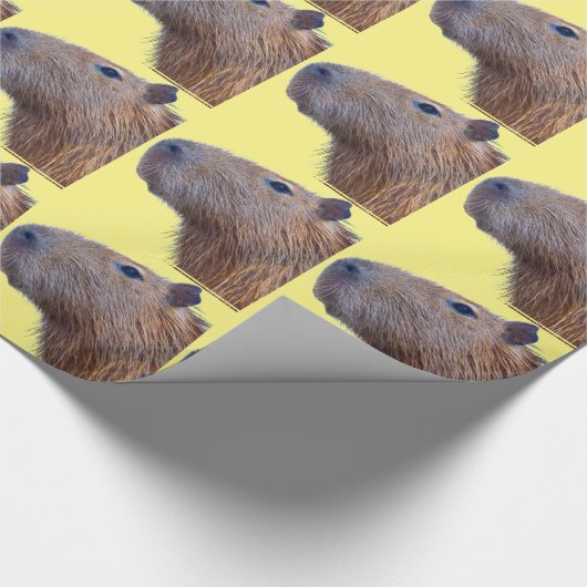 Capybara Geschenkpapier (Ecke)