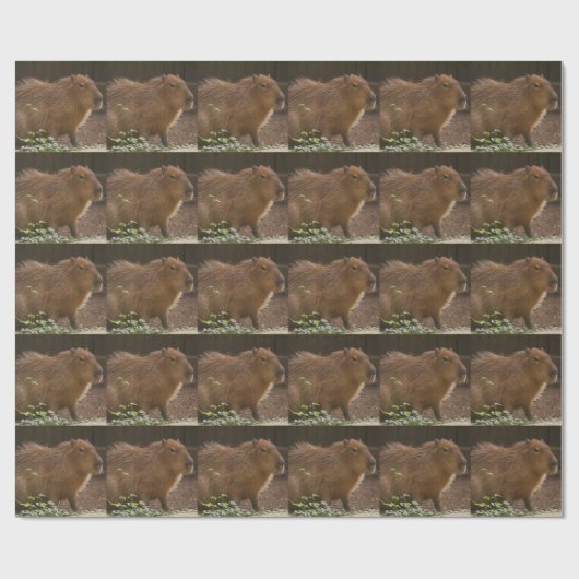 Capybara Geschenkpapier (Flach)