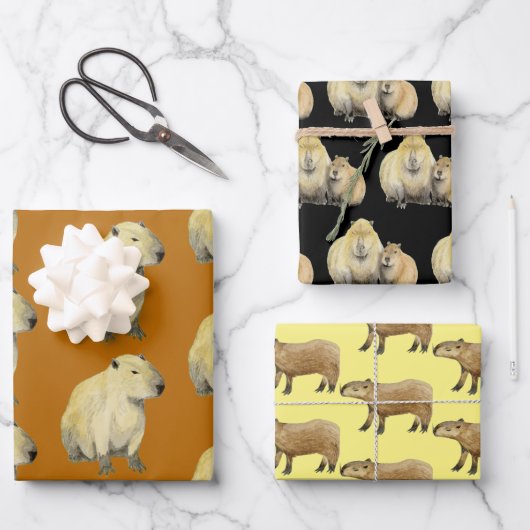 Capybara Geschenkpapier Set (Vorderseite)