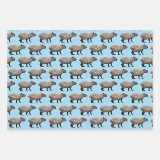 Capybara Geschenkpapier Set (Vorderseite 3)