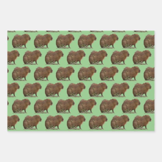 Capybara Geschenkpapier Set (Vorderseite 2)