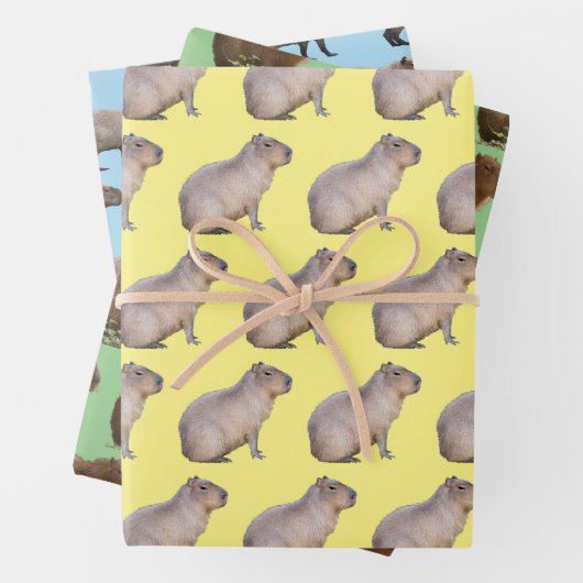 Capybara Geschenkpapier Set (Beispiel)