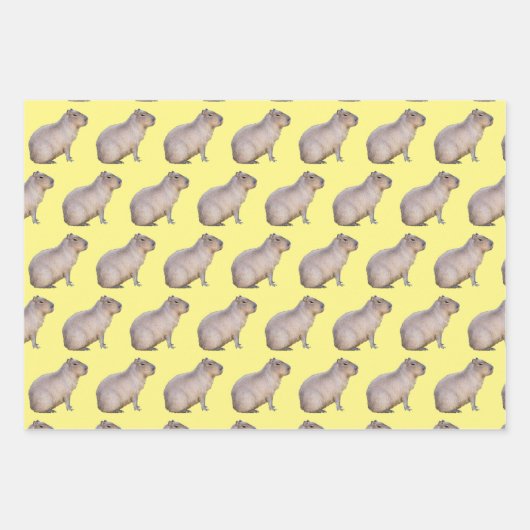 Capybara Geschenkpapier Set (Vorderseite)