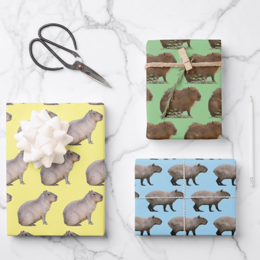 Capybara Geschenkpapier Set (Vorderseite)