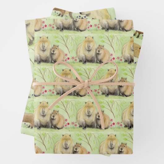 Capybara Geschenkpapier Set (Beispiel)