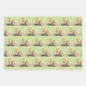 Capybara Geschenkpapier Set (Vorderseite)