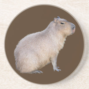 Capybara Getränkeuntersetzer