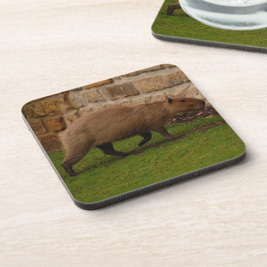 Capybara Getränkeuntersetzer (Linke Seite)